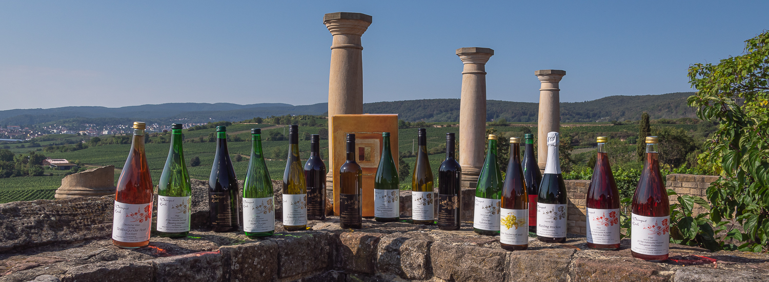 Weingut~Koch 